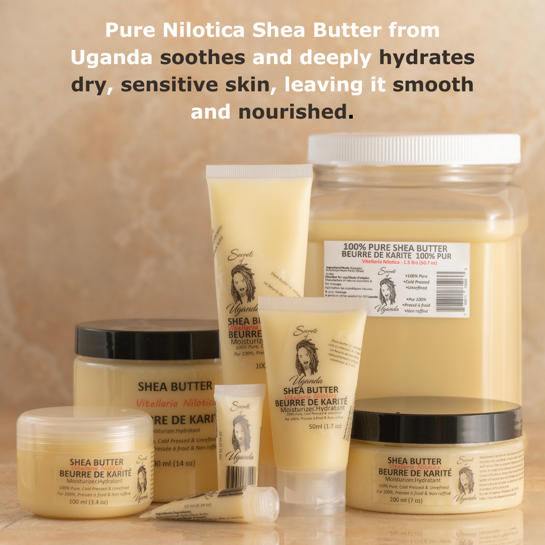 Nilotica Shea Butter Bulk 1.5L | Unrefined DIY & Wholesale Skincare Ingredient (1500ml)